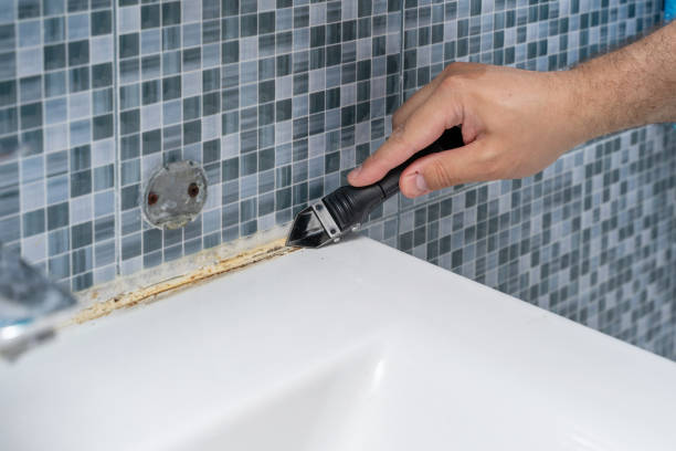 Reliable Lyndonville, VT Mold Removal Solutions